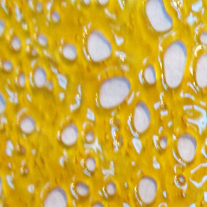 Comatose Shatter Concentrates Marijuana Bud Terpenes Cannabis