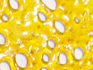 Black Label Premium Bud Run Shatter