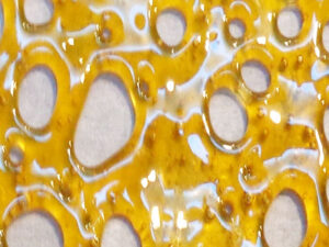 Rockstar Tuna Shatter Weed Cannabis Marijuana Terpenes Concentrates