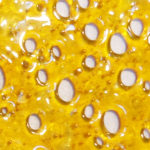 White Rhino Shatter Bud Marijuana Cannabis Terpenes Concentrates